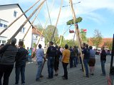 Maibaum_2016 (102).JPG